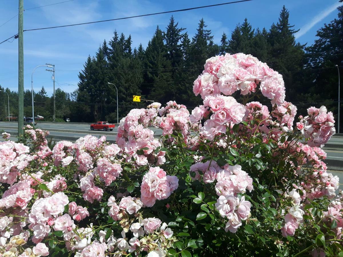 Fuller Lake Chemainus Motel Dış mekan fotoğraf